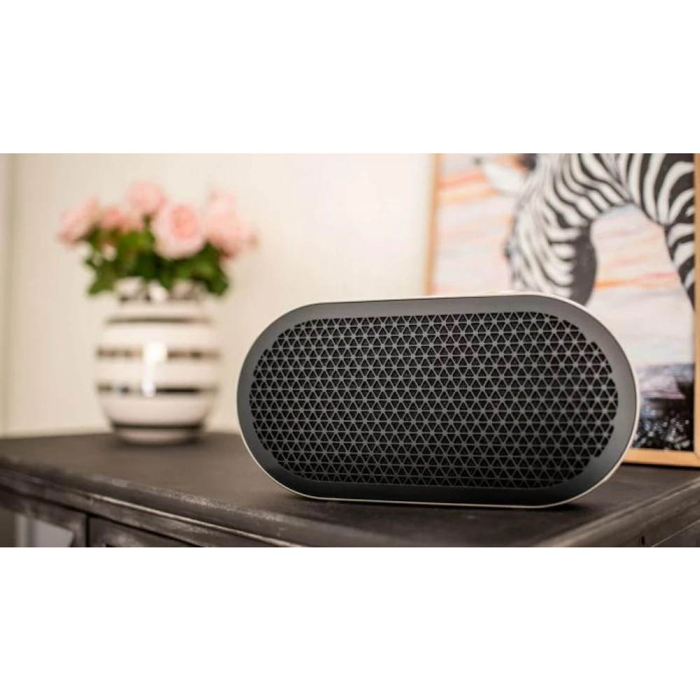 Dali Katch G2 - Bluetooth Speaker - Auratech LLC