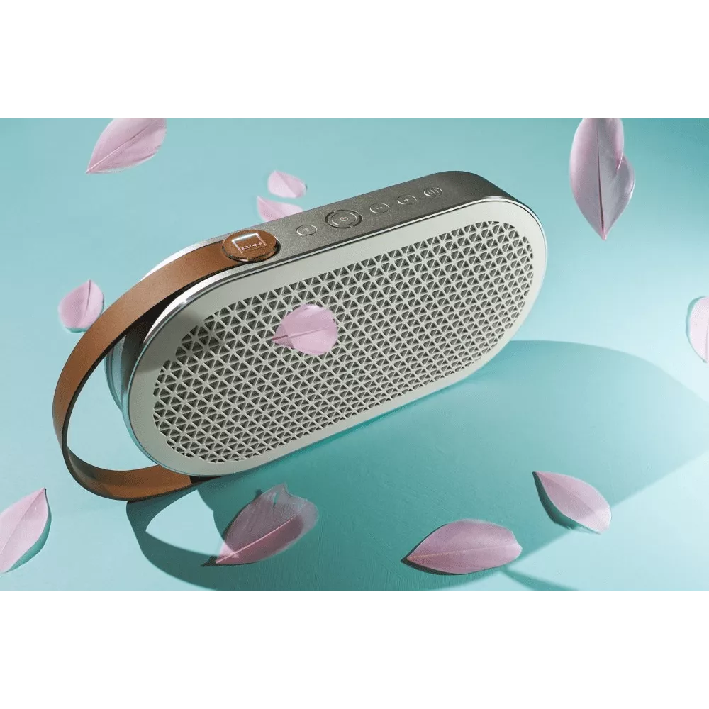 Dali Katch G2 - Bluetooth Speaker - Auratech LLC