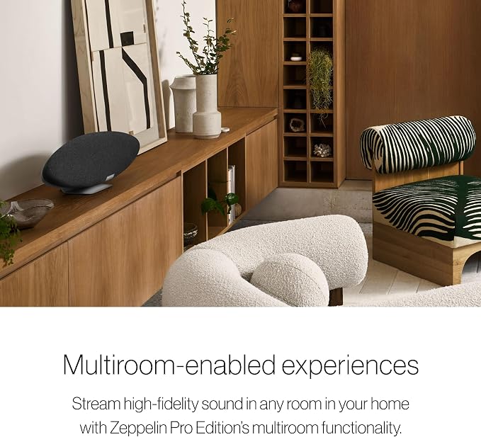Bowers & Wilkins Zeppelin - Wireless Speaker