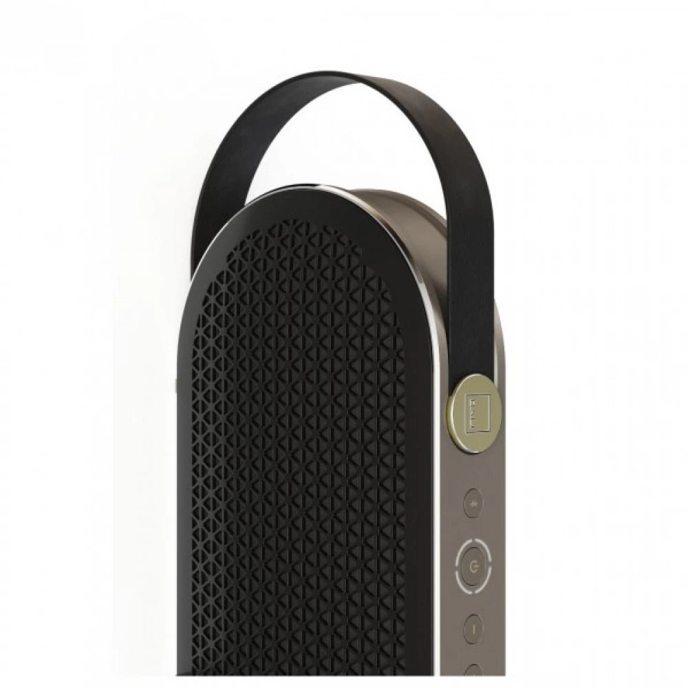 Dali Katch G2 - Bluetooth Speaker - Auratech LLC