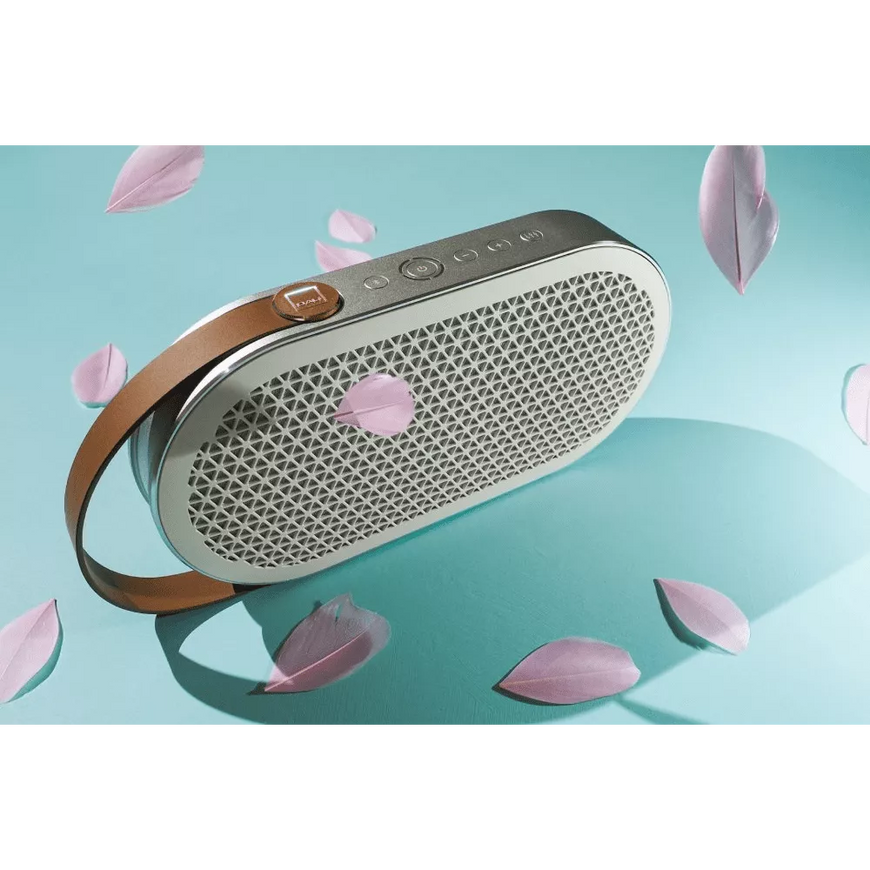 Dali Katch G2 - Bluetooth Speaker - Auratech LLC