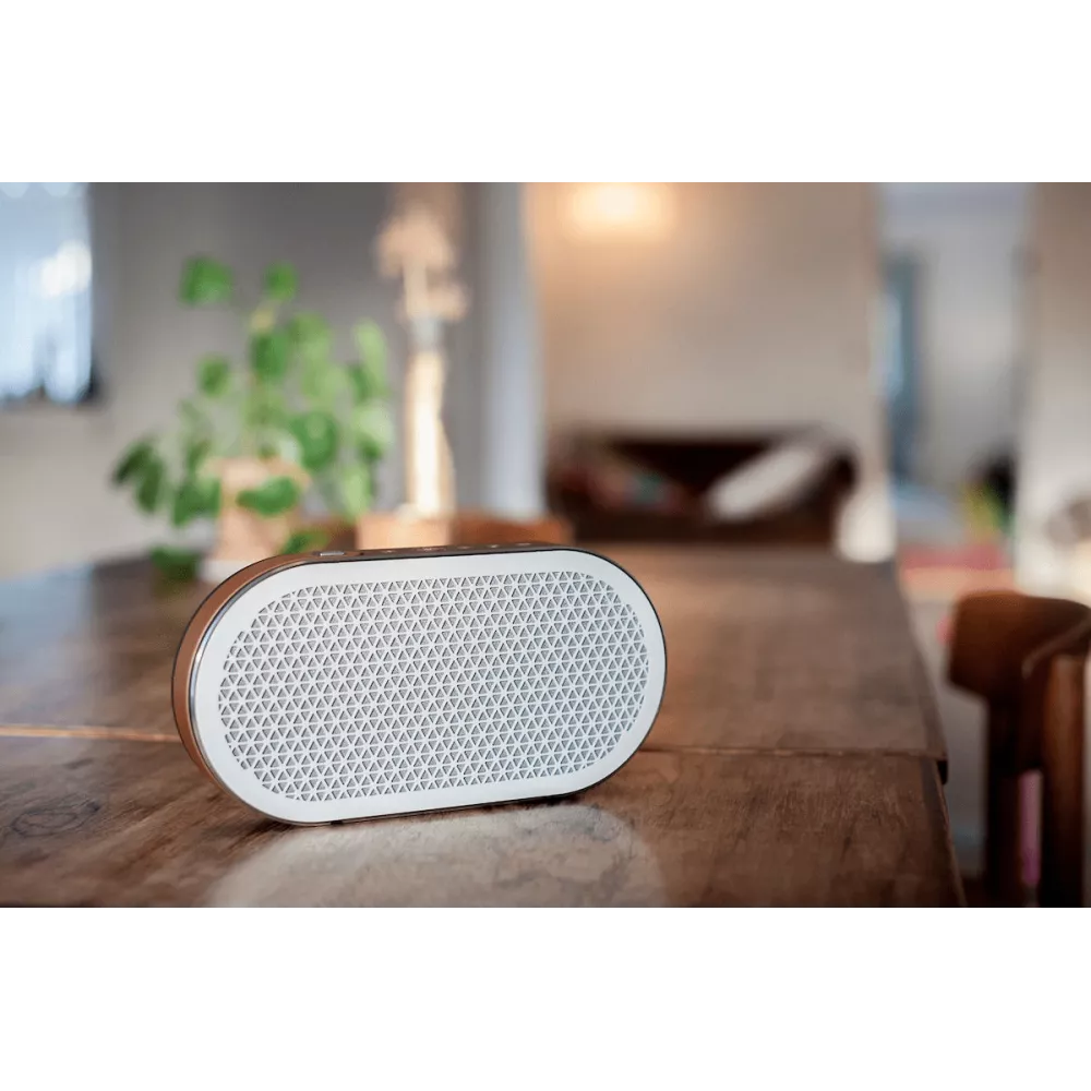 Dali Katch G2 - Bluetooth Speaker - Auratech LLC
